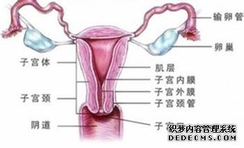 代孕产子公司服务机构