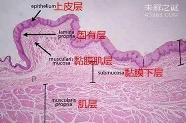 人体自救九大奇招