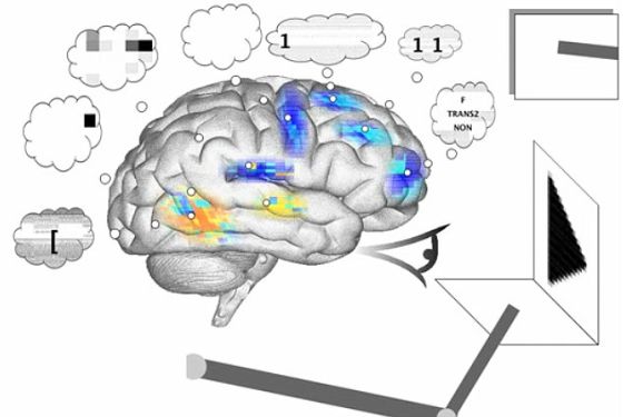 科学家制成迄今为止最复杂人造大脑:能够处理视觉线索，并在纸上