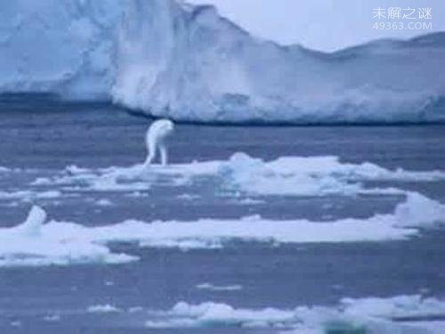 世界五大恐怖生化实验生物，不敢相信这些“怪物”真的存在